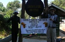 6 Days Kilimanjaro Lemosho route Climbing and Hiking Tour 