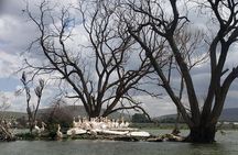 Mt. Longonot Hike with Boat Ride in Lake Naivasha 
