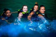 Full-Day Tour Baru - National Aviary and Playa Blanca + Bioluminescent Plankton