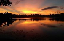 90-Minute Sunset paddle at Secret Lake Guided Kayak Tour in Casselberry 