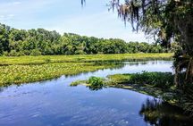 Wekiva Wildlife Kayaking Adventure Tour