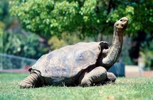 South of Mauritius :Full day package including Chamarel Coloured earth & lunch
