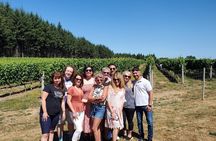 Vancouver Wine Tour (Fraser Valley)