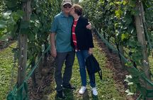 Vancouver Wine Tour (Fraser Valley)