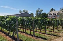 Fraser Valley Wine Tour from Vancouver with a Light Lunch 