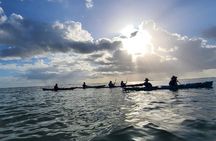 Kayak Sian Ka’an Experience