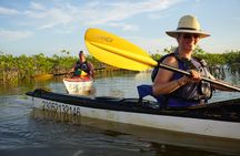 Kayak Sian Ka’an Experience