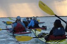 Sunrise Kayak Sian Ka’an Experience