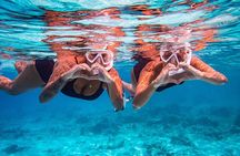 VIP Private Island & Snorkeling Tour – South Bonaire
