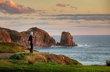 Full-Day Phillip Island Tour with Kangaroo, Koala and Penguin Parade