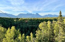  Zipline & Horseback Adventure in Alaskan Mountains