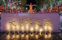 Private Night Tour Xi'an Tang Dynasty Guangming City