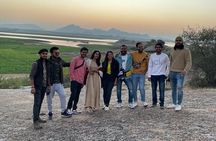 Jawai Leopard Wildlife Safari