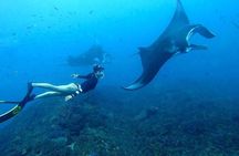 Snorkeling In Nusa Penida And Uluwatu Sunset Tours