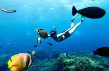 Snorkeling In Nusa Penida And Uluwatu Sunset Tours