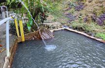 Shoreside Fun-Day with Titou Gorge, Hot Springs & Champagne Reef