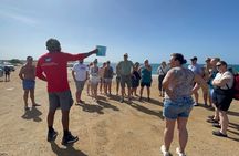 Small Group Full Day Island Tour in Sal