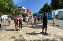Small Group Full Day Island Tour in Sal
