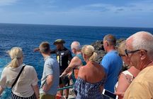 Small Group Full Day Island Tour in Sal