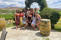 Wine Tasting from Scottsdale-(4 Vineyards & Includes Lunch)