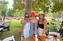 Wine Tasting from Scottsdale-(4 Vineyards & Includes Lunch)