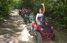 Rad Venture ATV, Transportation & Lunch