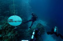 Intro Diving 2 Stops For Beginners with Pick-up and Lunch - Hurghada