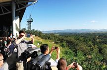 DMZ Tour, Expert Tour Guide from Seoul /Option: Suspension Bridge