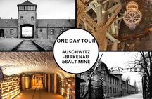 Krakow: Auschwitz-Birkenau and Salt Mine Guided Visits in One Day