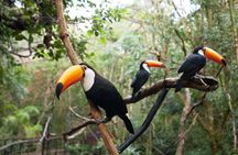 Private 3-Day Iguazu Falls Tour