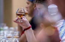 Rum Tasting Tour at Casa BACARDÍ in Puerto Rico 