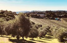 Waiheke Island: Sip & Savour Tour