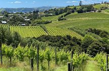 Waiheke Island: Sip & Savour Tour