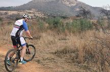  Cycling in a Forest close to Johannesburg and Pretoria 