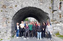 Small-Group Walking Tour of Galway