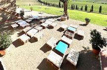 Chianti and Castle Small Group Tour from Siena with Wine Tasting