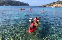 Guided Kayak Tour from Sant Elm to Sa Dragonera