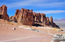 Half Day Tour to San Pedro de Atacama by Ruta de los Salares