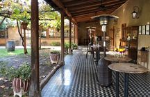 Maipú Wine and Olive Oil Tour