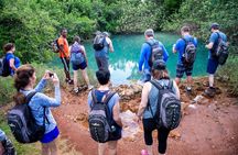 Bermuda Hidden Gems Half-Day Winter Excursion