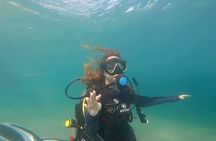 Try Scuba dive in Qatar