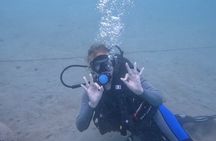 Try Scuba dive in Qatar