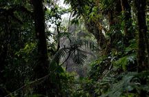 El Tigre Waterfalls Hiking Tour with Lunch and Nature Guide 