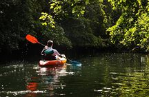 Kayaking the Tamarin River & Watching the Sunset at Flic en Flac Beach