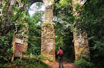 Highlights of Abraão and Enseada das Estrela in a 4-hour tour
