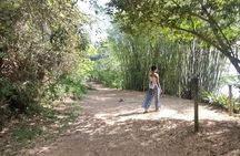 Highlights of Abraão and Enseada das Estrela in a 4-hour tour
