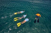 The Artisan Sea & Kayak Adventure (4-in-1)