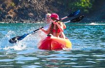 The Artisan Sea & Kayak Adventure (4-in-1)