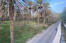3 Hour Private Tour in Birkat Al Mouz 