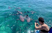 Turtle Garden Snorkeling Tour and Island Break 